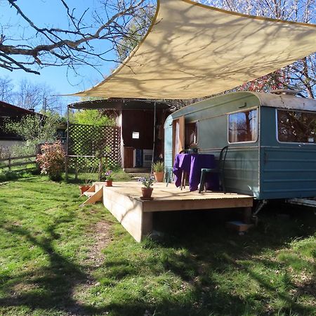 Cosy Cabane Montbrun-Bocage Экстерьер фото